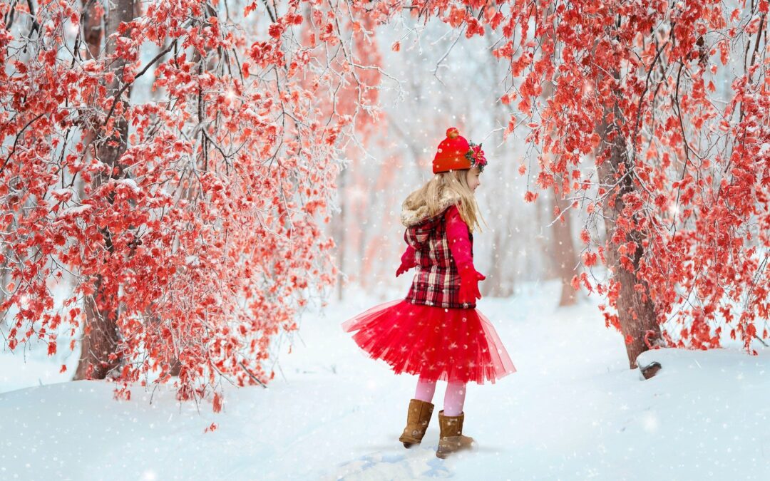 Des photos pour noël